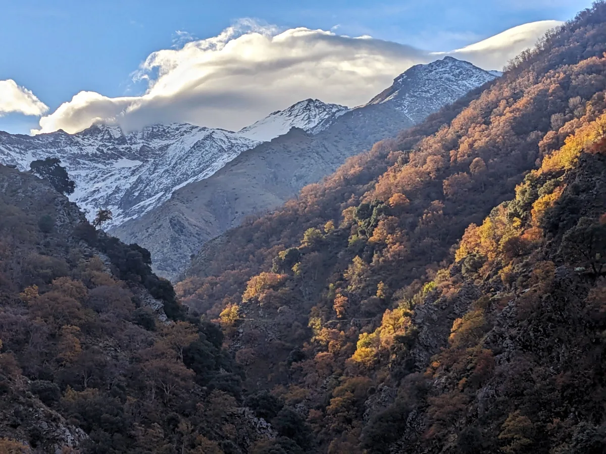 Snow-dusted mountains rising above an autumn valley